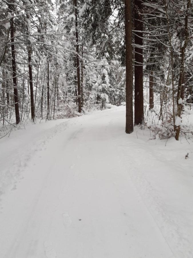 Ferienwohnung Am Wald Waidring Eksteriør billede