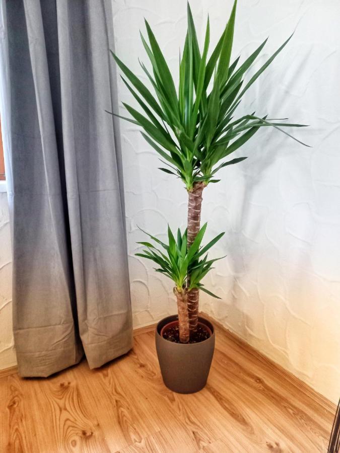Ferienwohnung Am Wald Waidring Eksteriør billede
