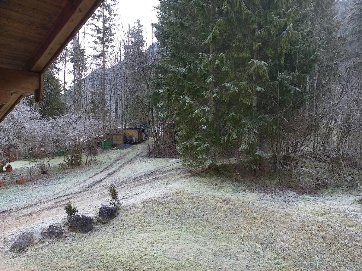 Ferienwohnung Am Wald Waidring Eksteriør billede