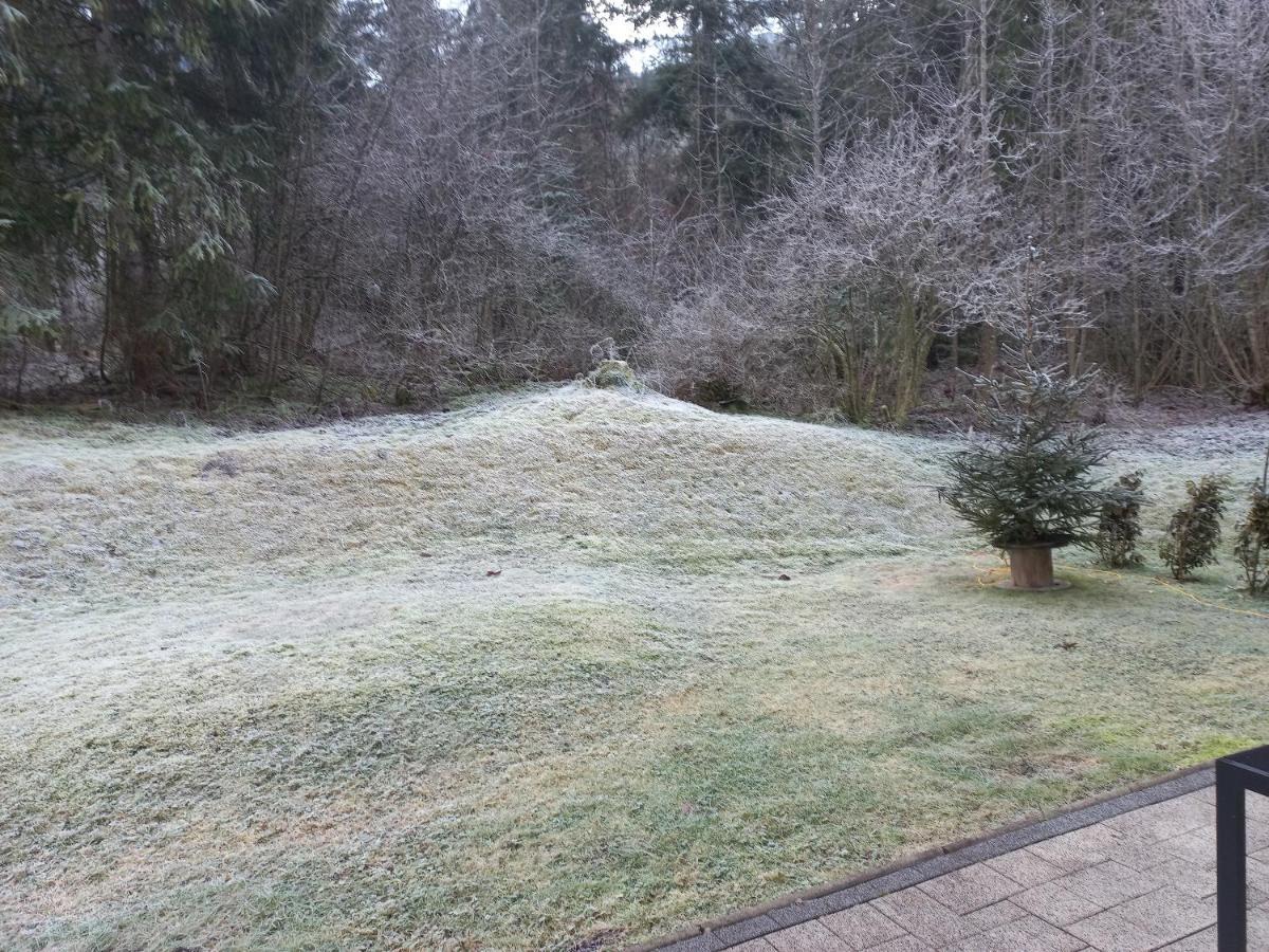 Ferienwohnung Am Wald Waidring Eksteriør billede
